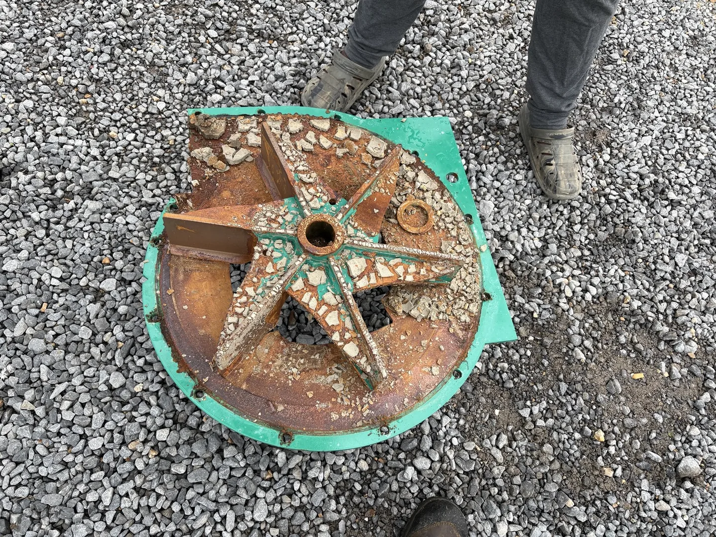 Removed pump impeller with radial vanes resting on its housing plate